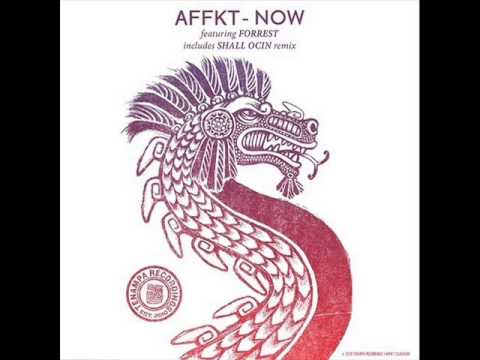 Affkt feat. Forrest - Now (Original Mix)