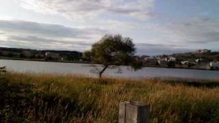 Luca- Brand New w/ lyrics