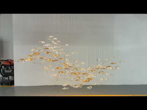 Video 1