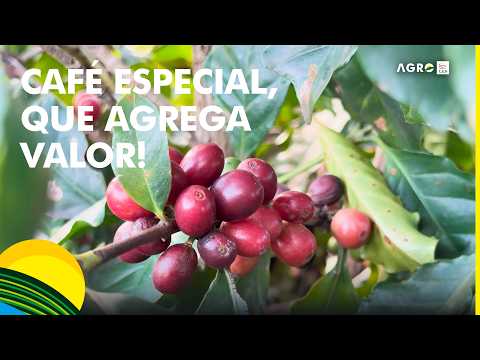 Casal produz café especial em Braganey e acumula prêmios