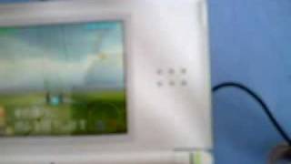 Starfox command DS