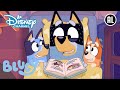 Bluey | ? Bluey’s Avonturen! | Disney Channel NL