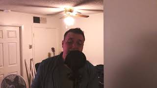 NORMANDIE - WHITE FLAG | VOCAL COVER