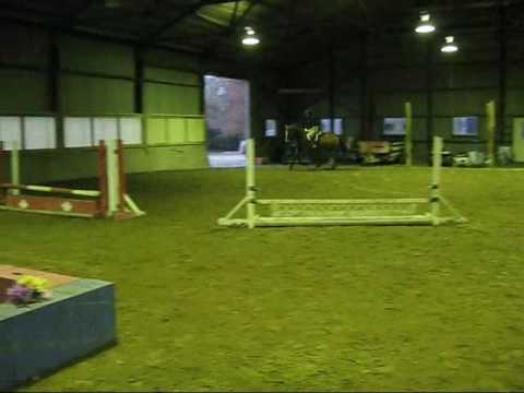 Zeta - Hunter/Jumper/Event Prospect