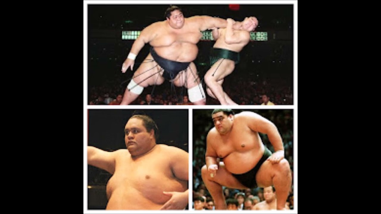 ハワイアン相撲取り賛歌!!!「曙 武蔵丸 & 小錦」