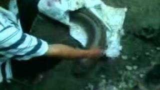 ca chinh :|:|...Dien Khanh town...