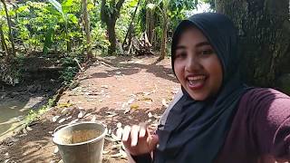 Download lagu Tidak Mancing Ikan Tambak tetapi Bersama emak emak Rame || target ikan mujair mp3