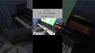 Download lagu リスト ラ・カンパネラ⑥ 少しゆっくり mp3