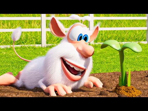 Booba — Giant Beanstalk | Episode 95 | Cartoons for Kids