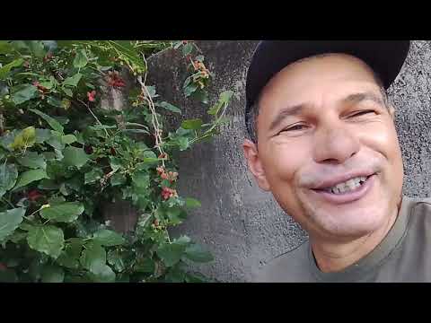 Cezarina.. Goiás.. Brasil..!!