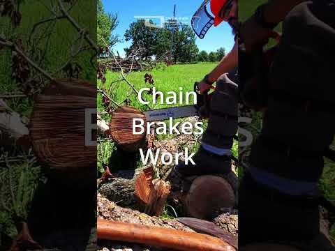 CHAINSAW Safety - Do YOU have A FIRM GRIP? - After a Kickback Something Changes  #shorts #chainsaw
