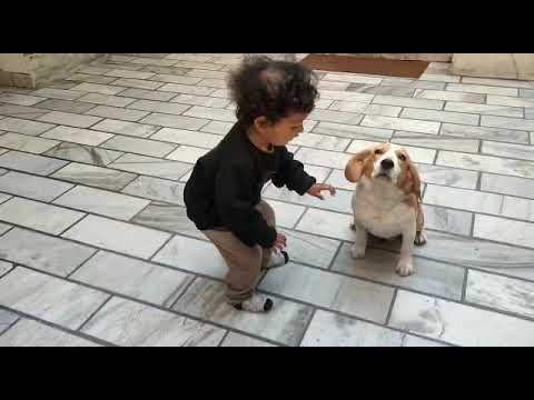 playing with dog#cute little angel#smiling face#happiness#sweet lovely moments