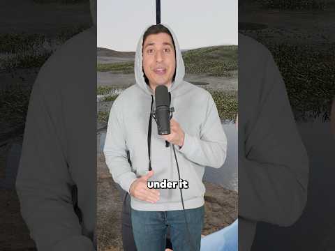 Get Rich From Oil In Your Backyard