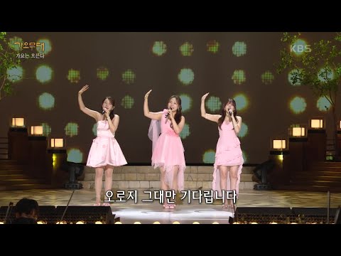 김다나¸ 미스김¸ 김추리 - 마음 약해서+십오야+생각이 나면(들고양이들)[가요무대]240923 방송