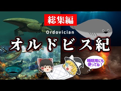 クロララクニオン レプタンス
