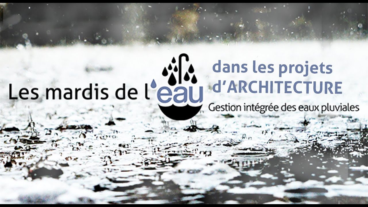 Gestion intégrée des eaux pluviales en architecture