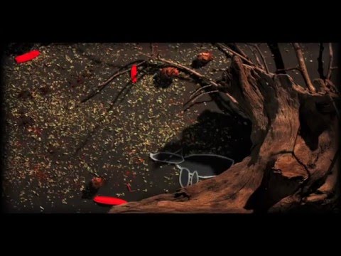 Listana - Elveda ( Single Version )