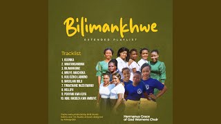 Bilimankhwe