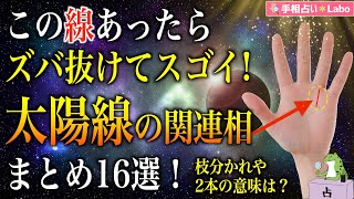 【手相占い】ズバ抜けてスゴイ!太陽線の関連相まとめ16選!枝分かれや2本の意味は?【蛙の手相占い】