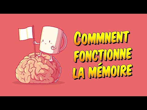 Psychologie - Comment fonctionne la mémoire