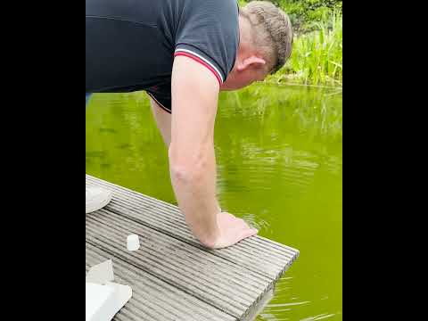 Bild Pimp my Pond – Teil 01 // Teichwasseranalyse