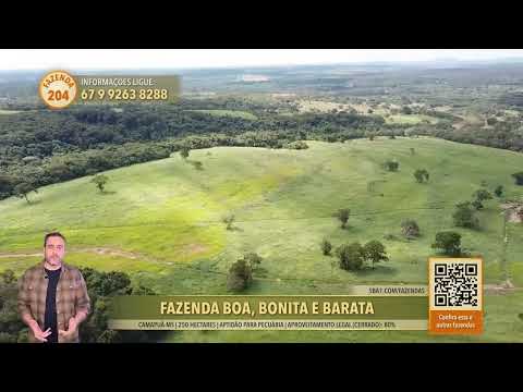 Terralmo 204: Fazenda à venda em Camapuã/MS