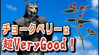 【SkyrimAE】ペラペラ盗っ人キャット Part14【ゆっくり実況プレイ】