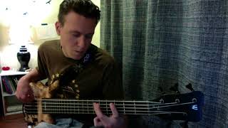 Livin&#39; &amp; Rockin&#39;- 311- Bass Cover