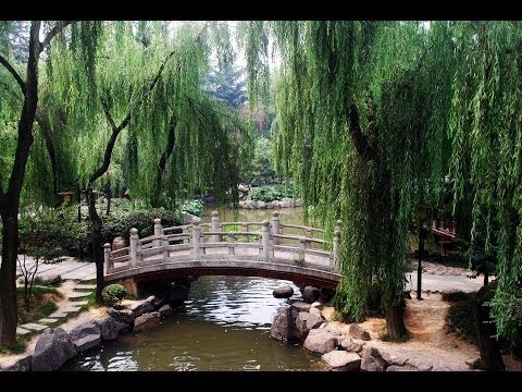 A Glimpse by Walt Whitman