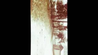 برف حجت اشرف زاده....hojat ashrafzadeh snow