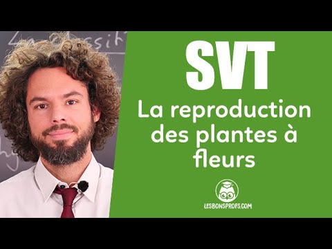 De la fleur au fruit, la reproduction des plantes à fleurs