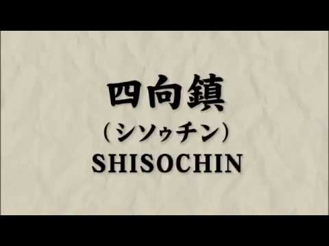 Shisochin Kata & Bunkai