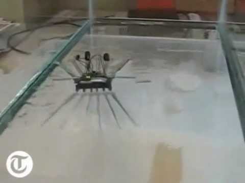 Робот-водомерка пошел по воде!