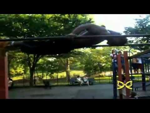 V12 Vital presents "BEAST, GET FAMILIAR"