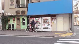 도쿄 여행 영상 (はじめての、東京 / First view of tokyo)