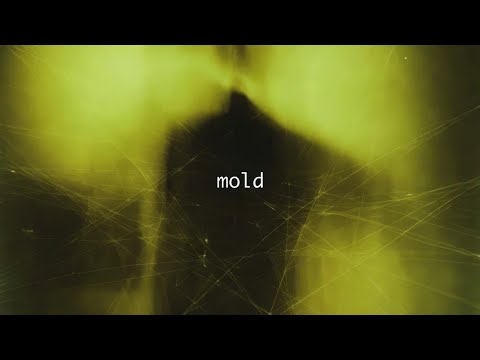 DXRTYTYPE – Mold (Official Audio)