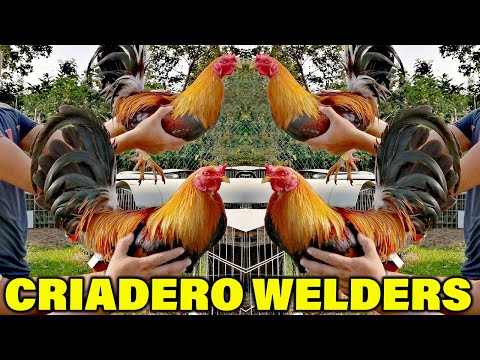 Asil Sweater Jose Gamez Criadero Welders