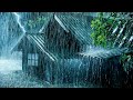 Storm Rain Thunderstorm Sleep Sounds Torrential Rainstorm On Tin Roof Mighty Thunder At Night