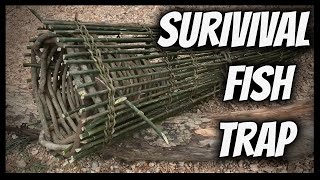 Download lagu The Best Survival Fish Trap mp3 Download lagu The Best Survival Fish Trap mp3