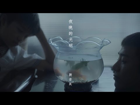 劉若英 René Liu [ 夜晚的光明 The Silver Lining Of Midnight ] Official Music Video