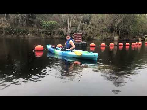 Immerse Yourself in Florida's Nature—One Stroke at a Time
