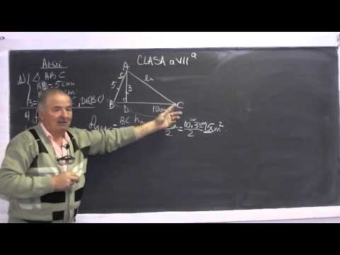 1/2 Lectia 709 - Probleme de arii cu triunghi patrat dreptunghi romb trapez paralelogram - Clasa 7