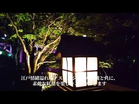 音無親水公園　紅葉ライトアップ2019