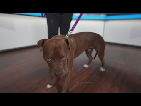 Sammy's Stars: Oct. 9, 2025 - YouTube