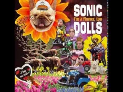 Sonic Dolls - In Case You're Unaware