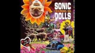 Sonic Dolls - In Case You're Unaware