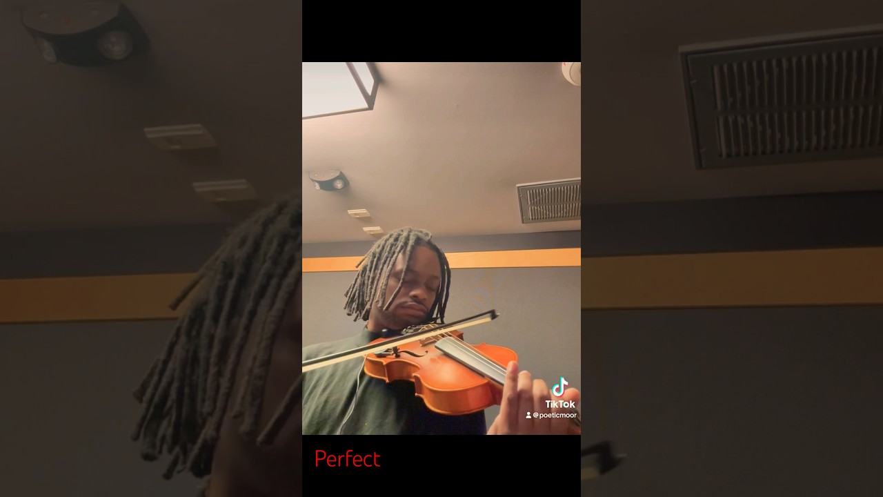Promotional video thumbnail 12 for Poetic Moor Inc