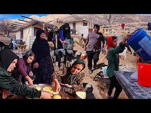 An exciting day with strangers on the farm