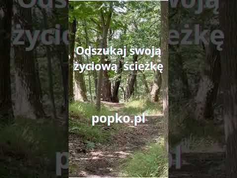 [Encyklopedia Wiedzy Duchowej] Odszukaj swoją życiową ścieżkę…  www.popko.pl  ✨ Zbigniew Jan Popko – współczesny mistyk, jasnowid