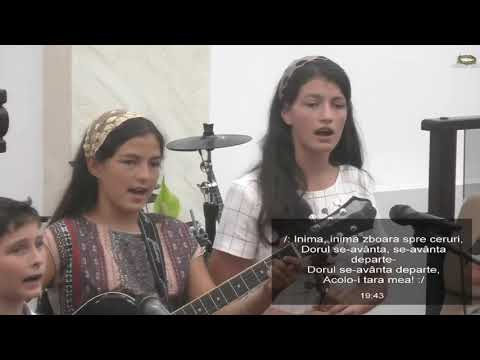 Fratii Sarbu - Lacrimile de durere când se vor sfârşi?